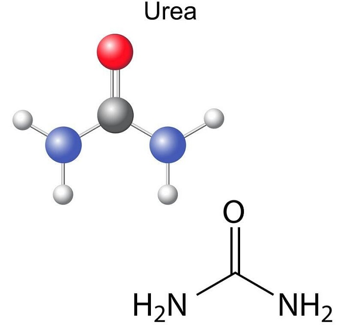Ure - Thành phần hay sử dụng trong các sản phẩm skincare